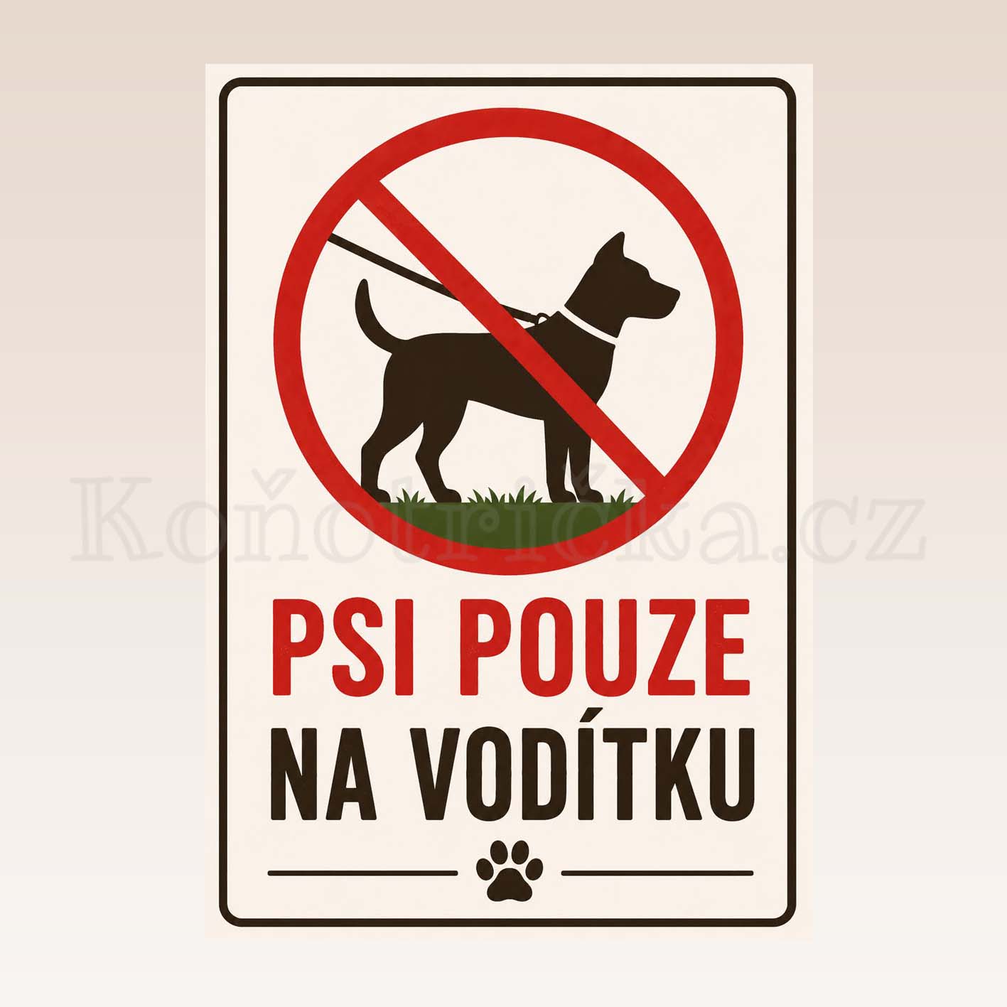 Hliníková cedule "PSI POUZE NA VODÍTKU" 